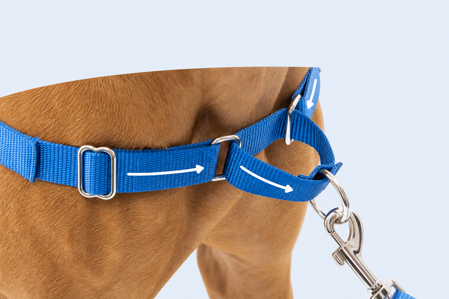 PetSafe Easy Walk clássico vale a pena? Ajuste, prós e limitações